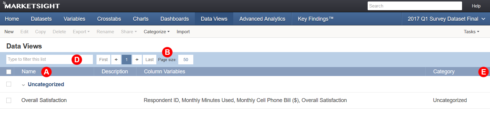 Data View Basics