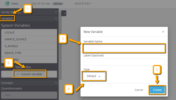 Creating a Custom Variable